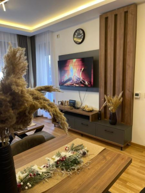 Apartman Pavlovic